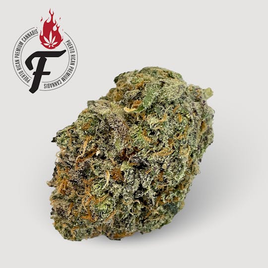 Fuego by Nature - Hawaiian Velvet - Fuego - 1