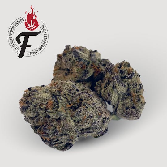Fuego by Nature - Apes In Space - Fuego - 1