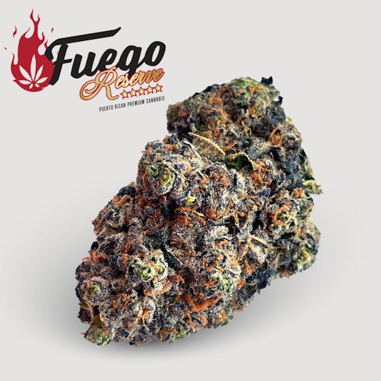 Fuego by Nature - Bavarian Cream - Fuego - 1