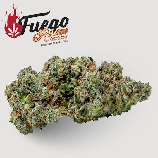 Fuego by Nature - Gummiez - Fuego - 1