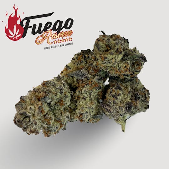 Fuego by Nature - Oreoz - Fuego - 1