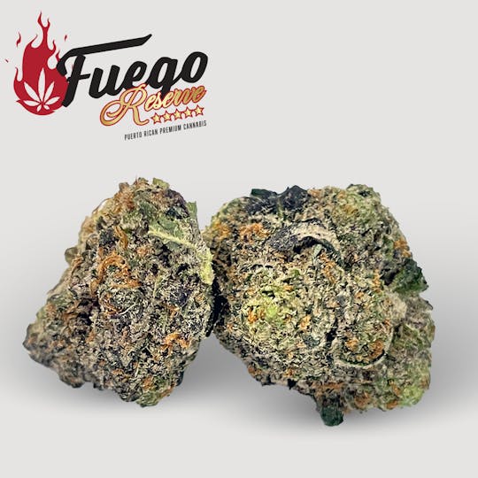 Fuego by Nature - Life Hack - Fuego - 1