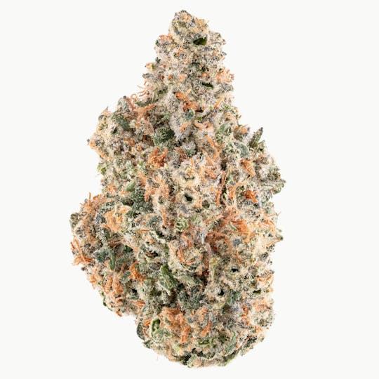 Quality Over Quantity - Gummy Kush - 1