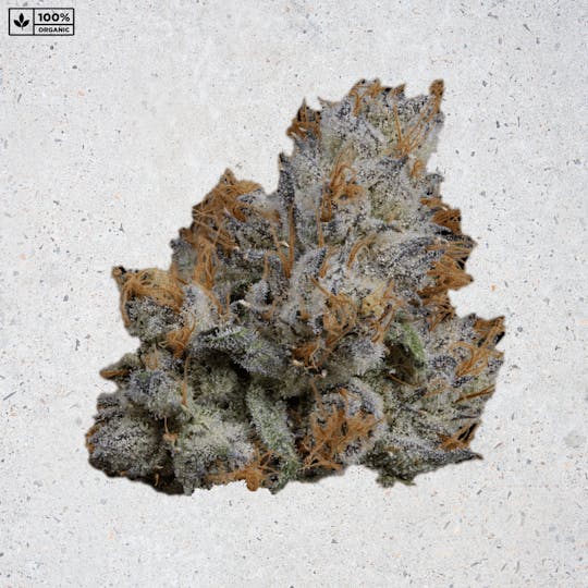 PARADISE SMOKES - Paradise Flower - Frozen Plums (3.5g) - 1
