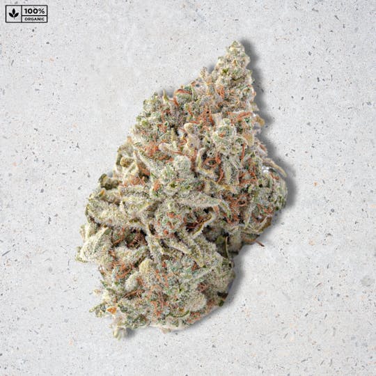 PARADISE SMOKES - Paradise Flower - Matcha (3.5g) - 1