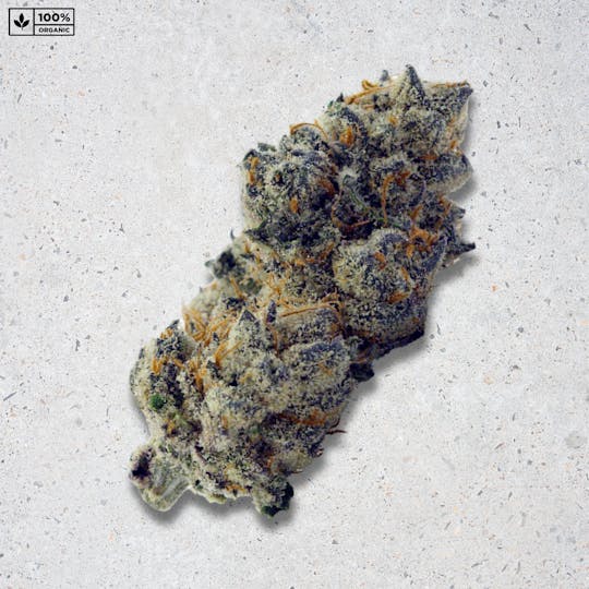 PARADISE SMOKES - Paradise Flower - Milk + Honey (3.5g) - 1