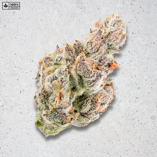 PARADISE SMOKES - Paradise Flower - Dragonz Fruit (3.5g) - 1