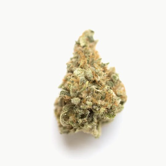 Animal - Grape Pie - Hybrid - 31% THC - 1