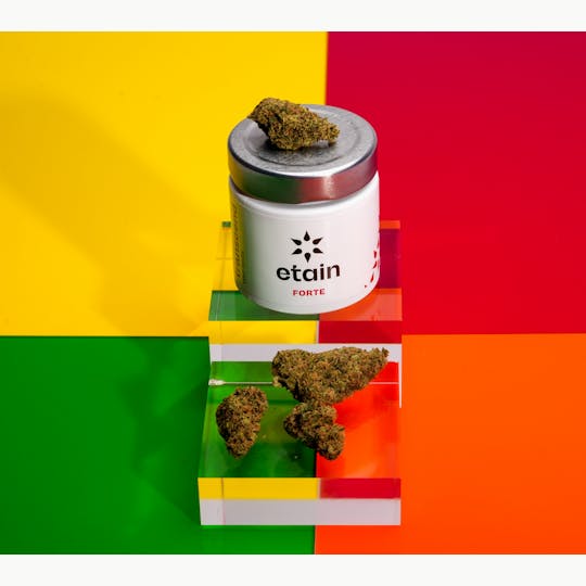 Etain - Forte Whole Flower - Zkittles (ZKS) - 1