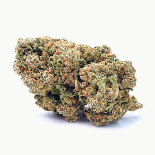 High Tide Organics - Venom OG | Greenhouse 3.5g - 1