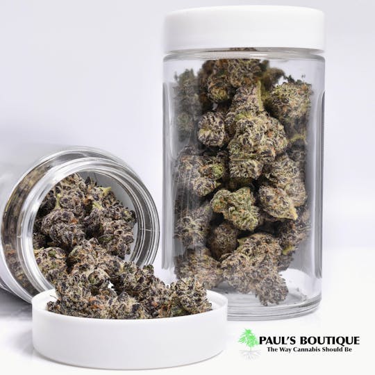 Paul's Boutique - Garlic Cookies Little Buds - 1