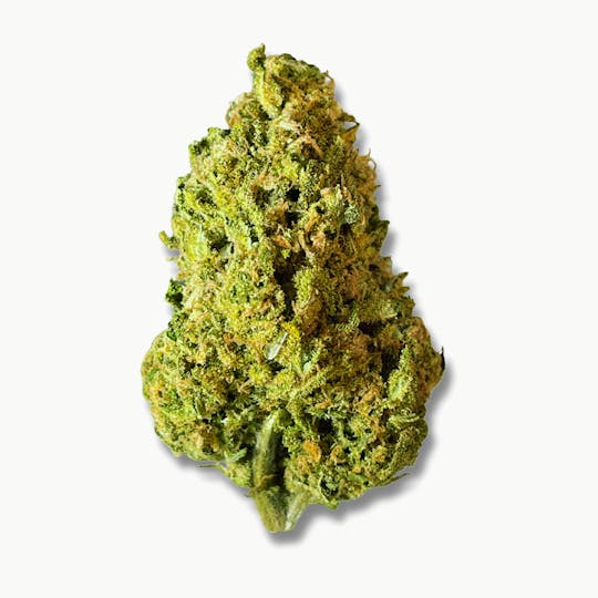 Smoakland - BLACK - Laughing Buddha (S) - 3.5g - 1