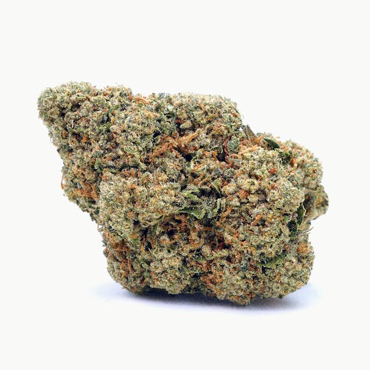High Tide Organics - Biscotti OG | Greenhouse 14g - 1