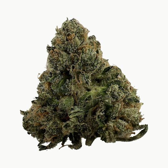 Indico - Atomic Bomb -$100 oz - 1