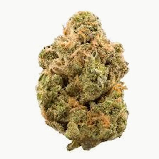 Cannafeen - MELONADE COOKIES - 1