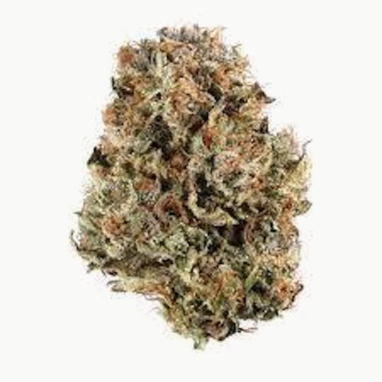 Cannafeen - PLATINUM OG - 1