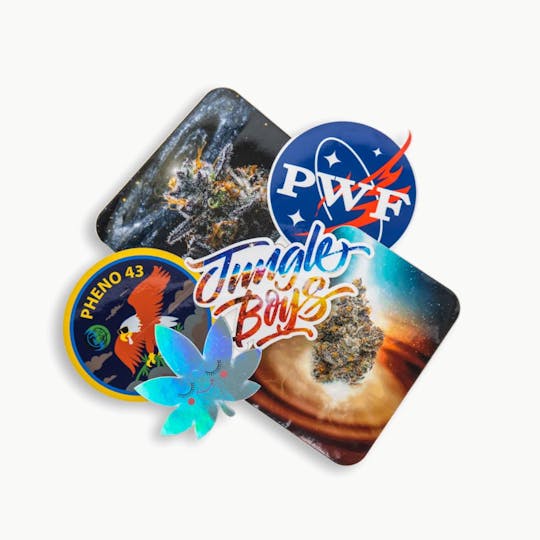 Jungle Boys - Jungle Boys Clothing | Up In Space Sticker Pack - 1