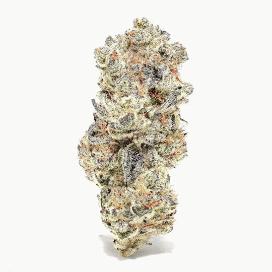 Purple Lotus - Bay Life - P.O.G - 1