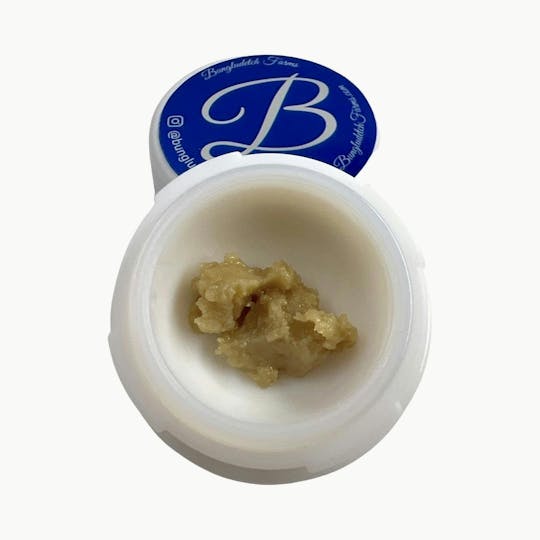 Indico - 90u Lemon Cherry Pie Rosin - Bungludetch Farms (Display Left Only) - 1