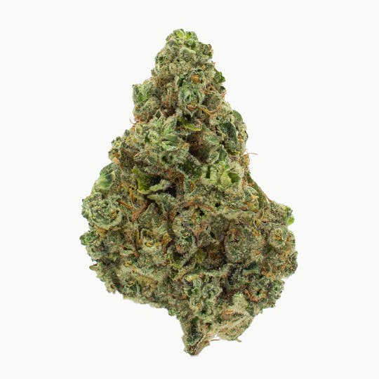 Nura - Gelato 33 - 1