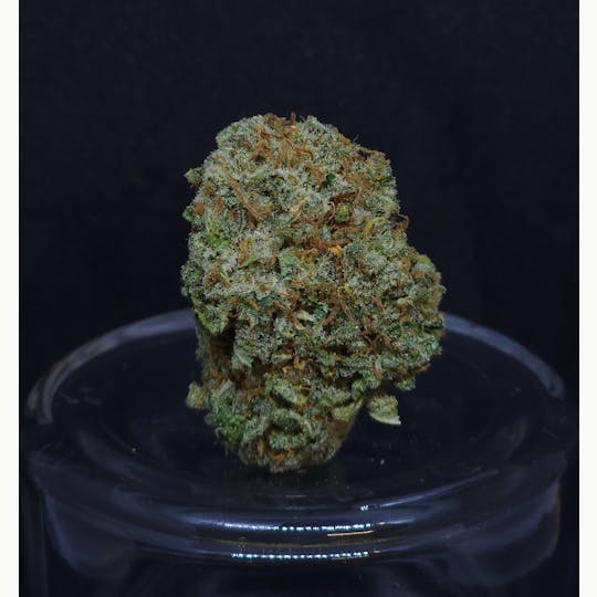 BAM Alaska - Z Sweet Insanity #5 .5g - 2 Pack - 1