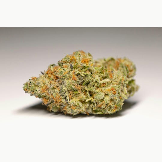 Great Northern Cannabis - Great Northern Cannabis 7g Mimosa Prepackaged Flower (Sativa) - 1