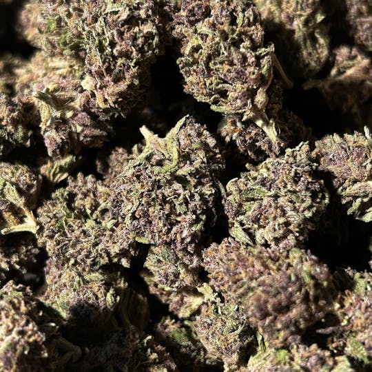 Daedalus Craft Cannabis - $75$ Ounce of the Day - Purple Silk #4 - SMALLS ONLY - 1