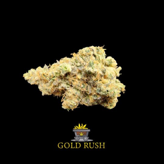 Gold Rush Premium Extracts - GG4 - 1