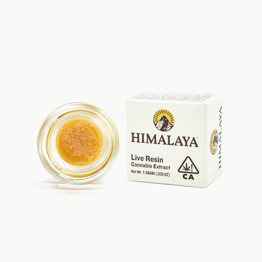 HIMALAYA - Cereal Milk (Live Resin Concentrate) - 1G - 1