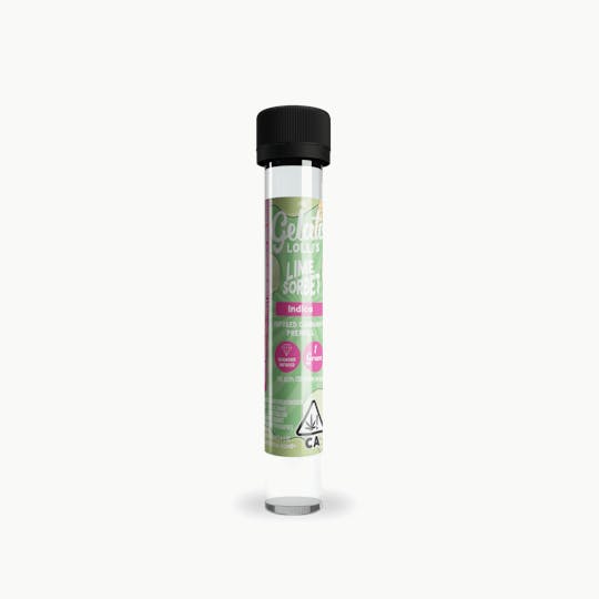 Gelato - Lime Sorbet 1.2G Lolli - 1