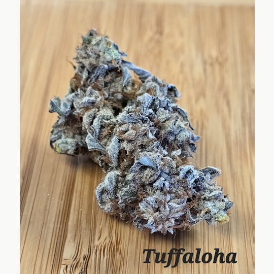 ITF - Truffaloha #2 - 1
