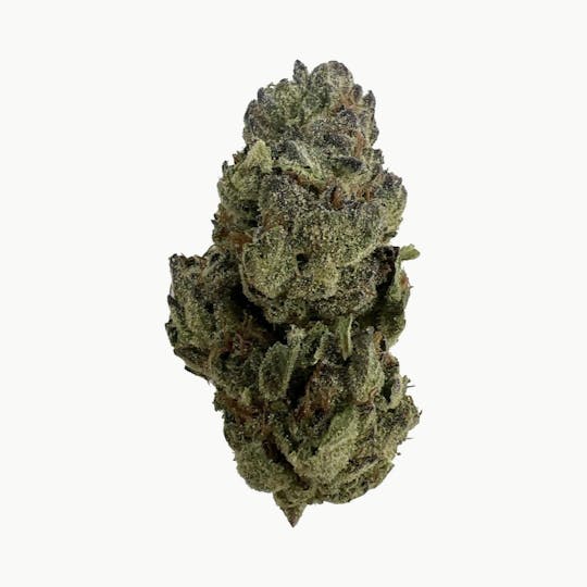 Indico - Guava Pie - Indico (ONE 1/8 LEFT!) - 1
