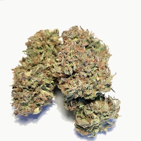 Daedalus Craft Cannabis - $75 Ounce of the Day - Lemon Rind - SMALLS ONLY - 1