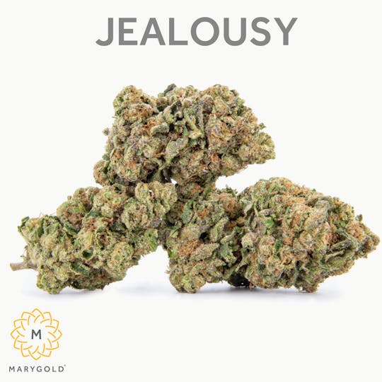 Marygold - Jealousy 14g (30% THC Hybrid) - 1