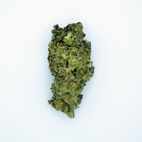 Trusty Transportations - Forbidden Fruit 8th/3.5Grams(30%THC,INDICA) - 1