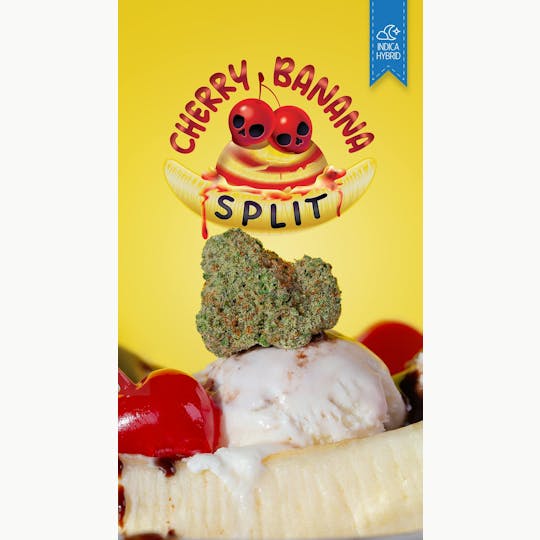 Great Northern Cannabis - Great Northern Cannabis 3.5g Cherry Banana Split Prepacked Flower (Indica) - 1