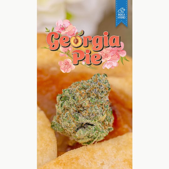 Great Northern Cannabis - Great Northern Cannabis 7g Georgia Pie Prepackaged Flower (Indica) - 1