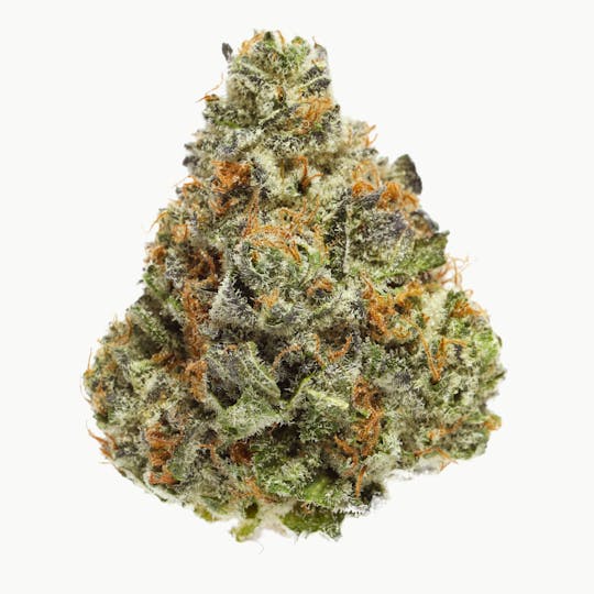 Seed & Smith Cannabis - Gary Payton - 1