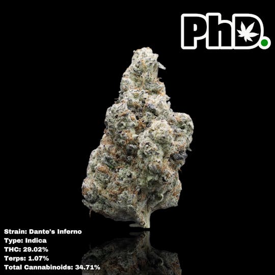 Pharmicated - PhD Indoor Flower - Dante's Inferno - 1