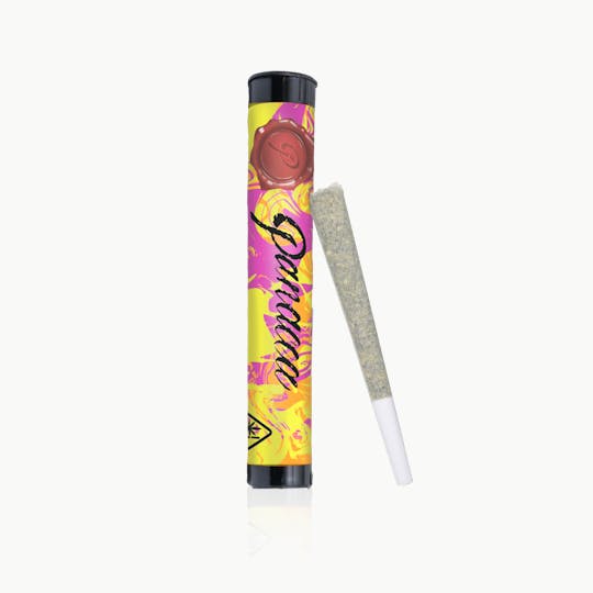Panacea - Obama Runtz | Indoor Preroll | 1g - 1