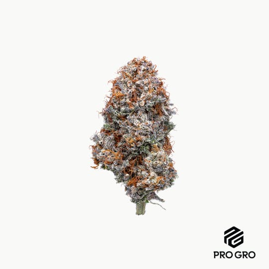 Pro Gro - Cherry Kush Mints - 1