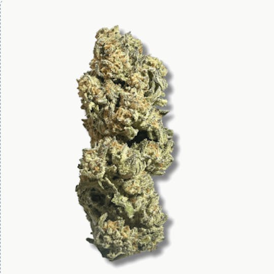 Smoakland - Exotix - Oreo Blizzard (H) - 14g - 1