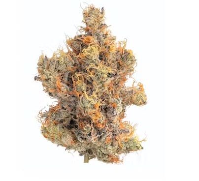 Wonka Bars 14g - River Driver Cannabis Co