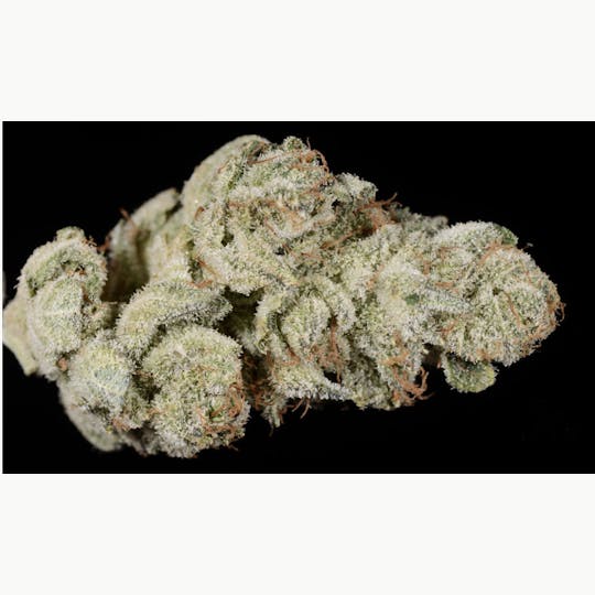 Animal - DEEZ NUTZ - Hybrid - 31% THC - 1