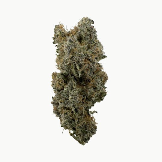 Indico - Point Break - Windhill Organics Farm - 1