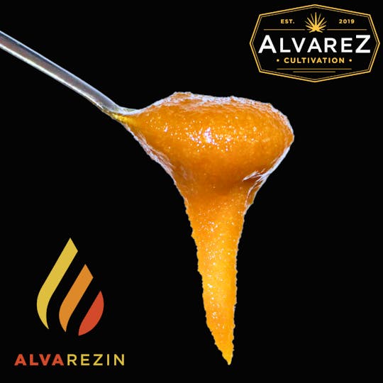 Alvarez Cultivation - Hash Mash Live Sugar - 1