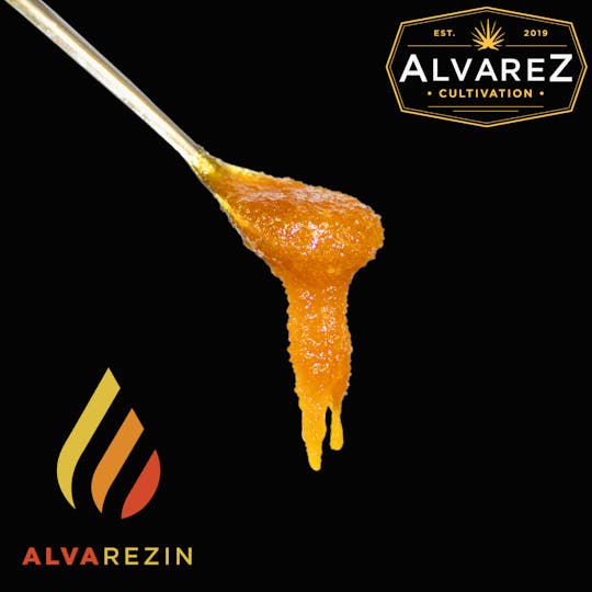 Alvarez Cultivation - Lemon Burn Nug Run Sugar - 1