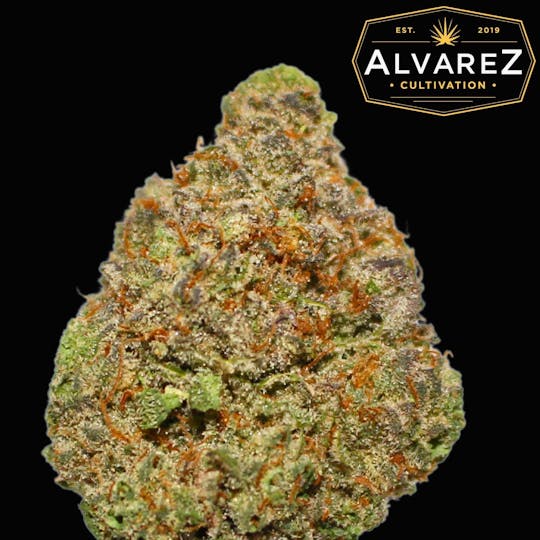 Alvarez Cultivation - Blueberry Waffle - 1