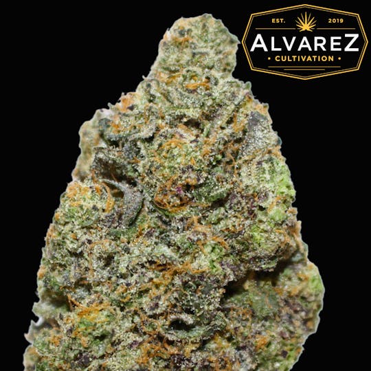 Alvarez Cultivation - Shamrock Shake - 1