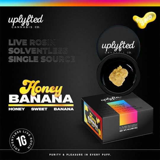 Uplyfted Cannabis Co - Live Rosin 90u - Honey Banana - 1